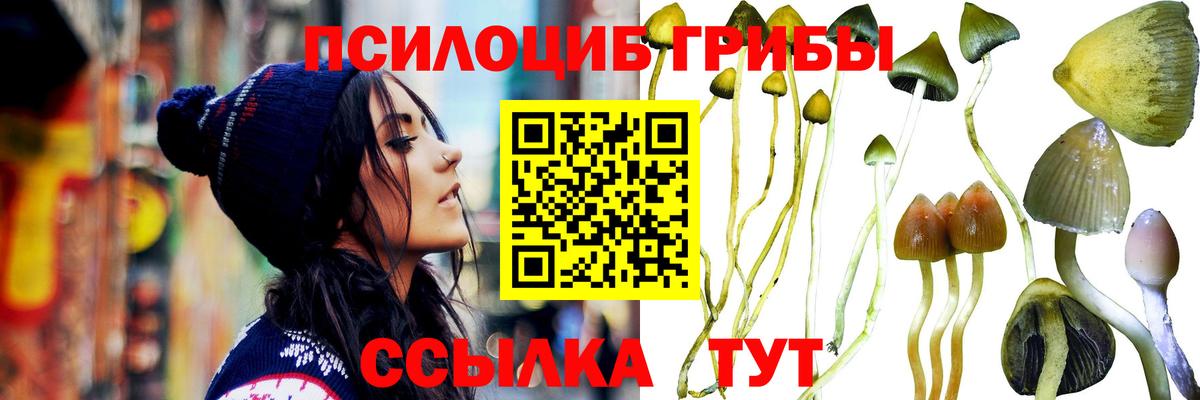 Миасс  Галлюциногенные грибы мицелий  Вход с VPN 